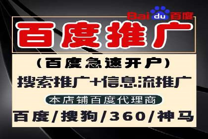 案例解读：SEM投放助力企业转型